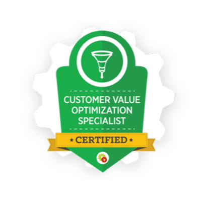 Customer Value Optimization Specialist